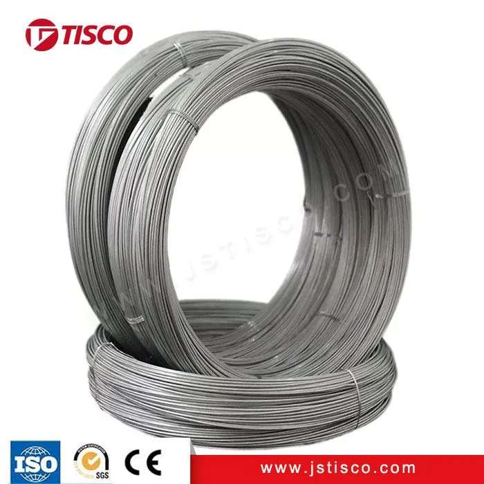 স্টেইনলেস স্টীল ওয়্যার 316L